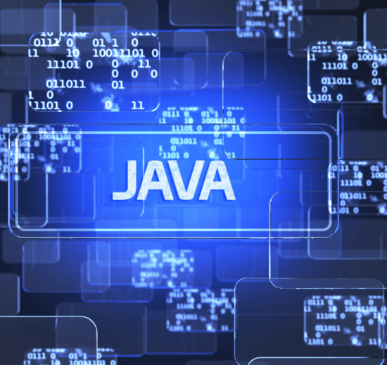 java intership